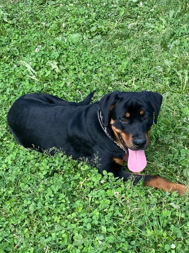 Елена Казакова | Нижний Новгород