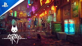 Игра “Stray“
