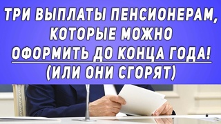 ТРИ ВЫПЛАТЫ пенсионерам, которые можно оформить до конца года! (ИЛИ ОНИ СГОРЯТ)