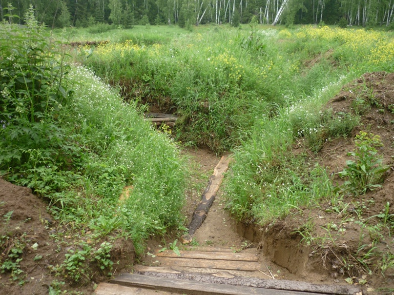 Серёга Фролов | Всеволодово
