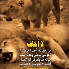 Oussama Babola