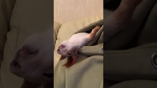 Уснул в капюшоне😎