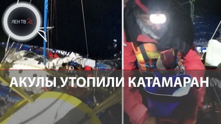Ночная атака акул | Экспедицию из России спасли в Тихом океане | Вокруг света на надувном катамаране